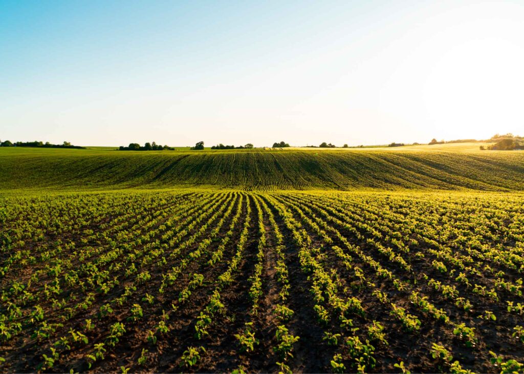 agricultura-colombia