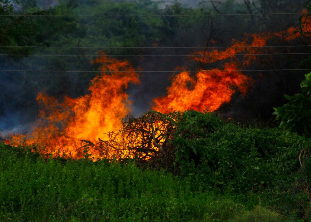 incendios