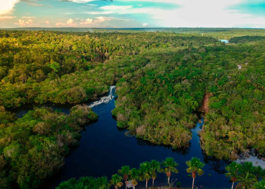 amazonas