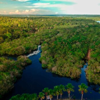 amazonas