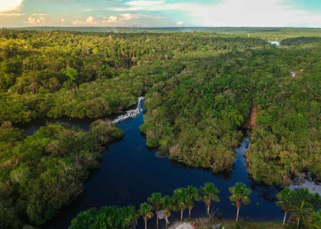 biodiversidad