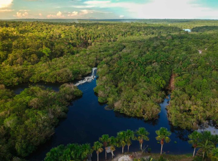 biodiversidad